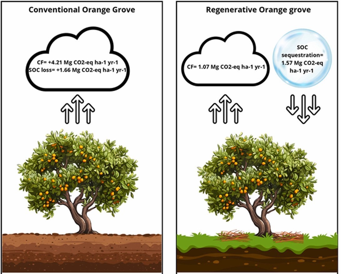 orange farm carbon sequestration.jpg